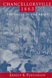 Chancellorsville 1863 : the souls of the brave  Cover Image