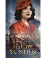 The land beneath us Cover Image