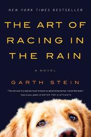 The art of racing in the rain : a novel  Cover Image