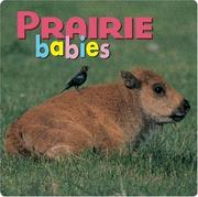 Prairie babies. Cover Image