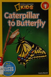 Caterpillar to butterfly  Cover Image