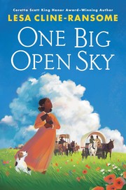 One big open sky  Cover Image