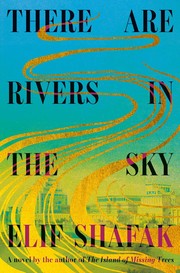 There are rivers in the sky : a novel  Cover Image