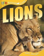 Lions  Cover Image
