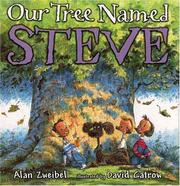 Our tree named Steve  Cover Image