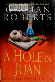 A hole in Juan : an Amanda Pepper mystery  Cover Image