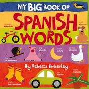 My big book of Spanish words  Cover Image