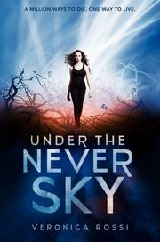 Under the never sky  Cover Image