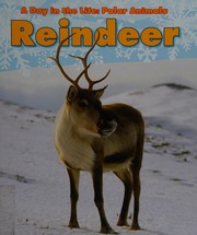 Reindeer  Cover Image