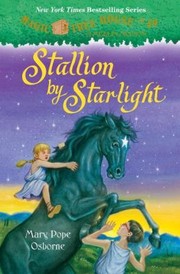 Stallion by starlight  Cover Image