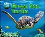 Green sea turtle Book cover