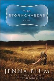 The stormchasers : a novel  Cover Image