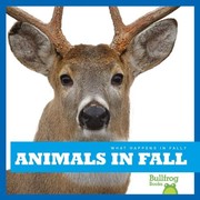 Animals in fall  Cover Image