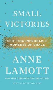 Small victories : spotting improbable moments of grace  Cover Image