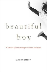 Beautiful boy : a father's journey through his son's meth addiction  Cover Image