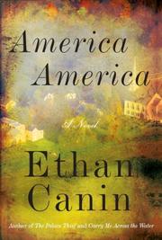 America America : a novel  Cover Image