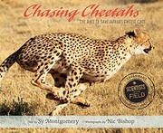 Chasing cheetahs : the race to save Africa's fastest cats  Cover Image