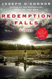 Redemption falls : a novel  Cover Image