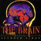 Go to record The brain : our nervous system