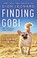 Go to record Finding Gobi : a little dog with a very big heart