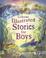 Go to record Usborne illustrated stories for boys