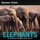 Go to record Elephants