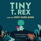 Go to record Tiny T. Rex and the very dark dark