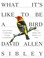 Go to record What it's like to be a bird : from flying to nesting, eati...