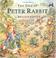 Go to record The tale of Peter Rabbit