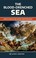 Go to record The blood-drenched sea : ships at war in the ancient Medit...