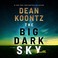 Go to record The big dark sky