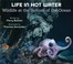 Go to record Life in hot water: wildlife at the bottom of the ocean