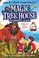 Go to record Magic tree house, Pirates past noon : the graphic novel