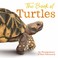 Go to record The book of turtles