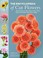 Go to record The encyclopedia of cut flowers : what flowers to buy, whe...