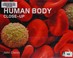 Go to record The human body close-up