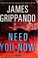 Go to record Need you now : a novel