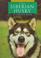 Go to record The Siberian husky