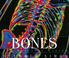 Go to record Bones : our skeletal system