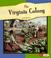 Go to record The Virginia colony