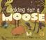 Go to record Looking for a Moose