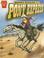 Go to record Young riders of the Pony Express