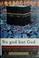 Go to record No god but God : the origins, evolution, and future of Islam