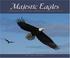 Go to record Majestic eagles : compelling facts and images of the bald ...