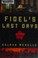 Go to record Fidel's last days : a novel