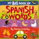 Go to record My big book of Spanish words