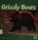 Go to record Grizzly bears