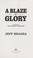 Go to record A blaze of glory : a novel of the Battle of Shiloh