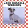 Go to record Jack Russell terriers