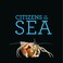 Go to record Citizens of the sea : wonderous creatures from the census ...